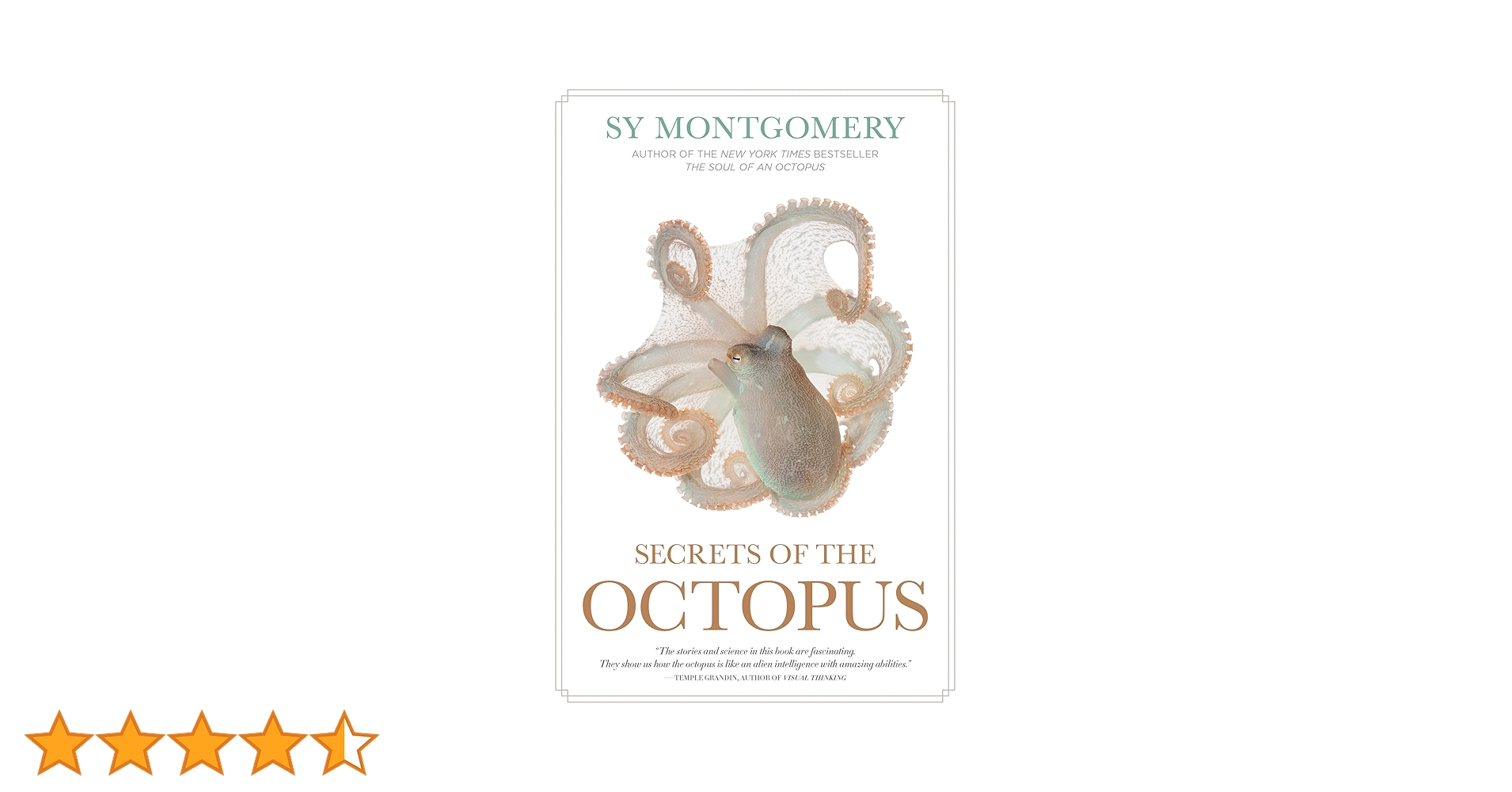 Tara Books   “The Undecided Octopus ” Tara Books “The Undecided Octopus ” Octopus: The Ocean's